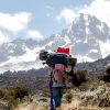 9 days Lemosho Route Kilimanjaro climbing/trekking