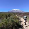 5 days Marangu Route Kilimanjaro climbing/trekking