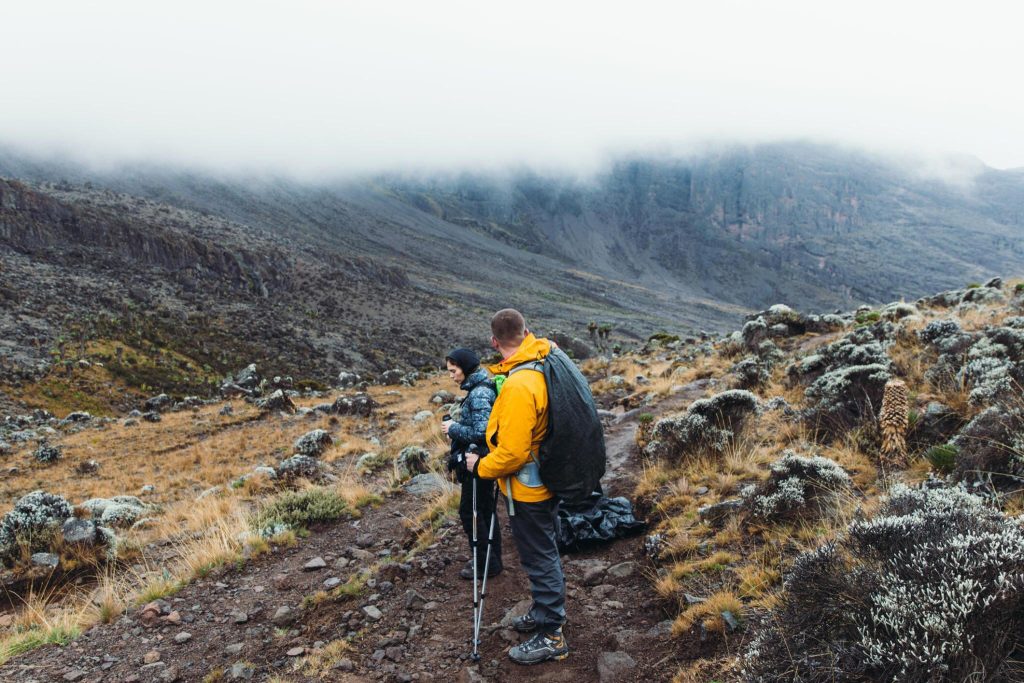 11 days Northern circuit Kilimanjaro climbing