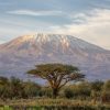 6 days Marangu Route Kilimanjaro climbing/trekking