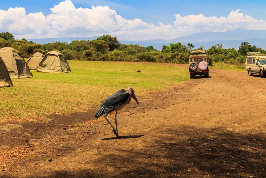 5-Day Tanzania Budget Camping Safari