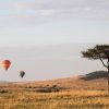 7-day Greatest Serengeti Balloon Safari in Tanzania.