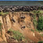 7-day Greatest Serengeti Migration Safari