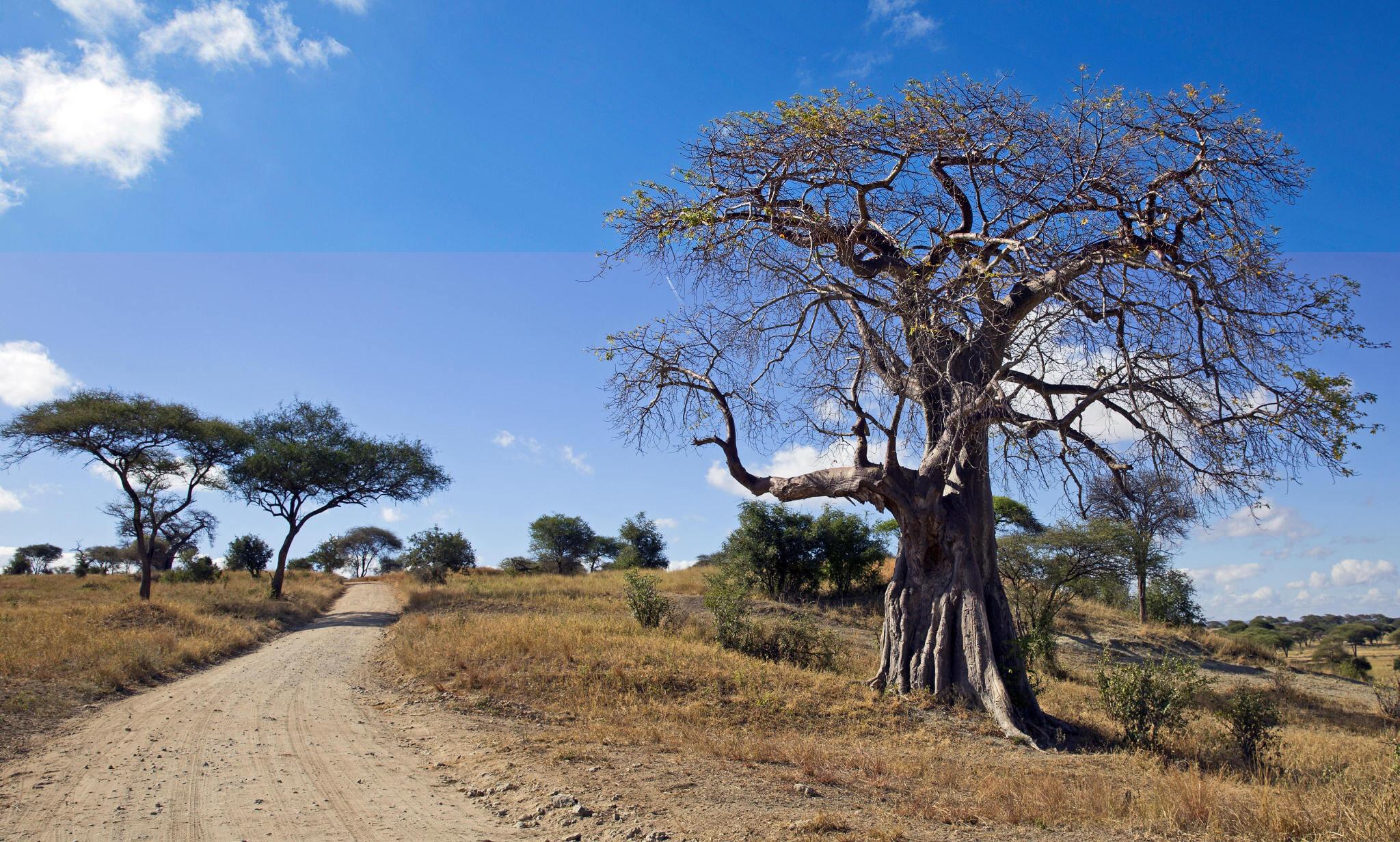 2 days Tanzania safari to Lake Manyara and Ngorongoro crater