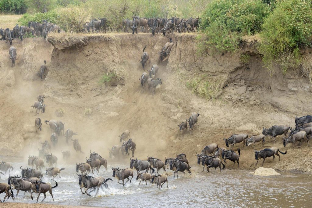 5 day Great Serengeti Migration Luxury Safari.