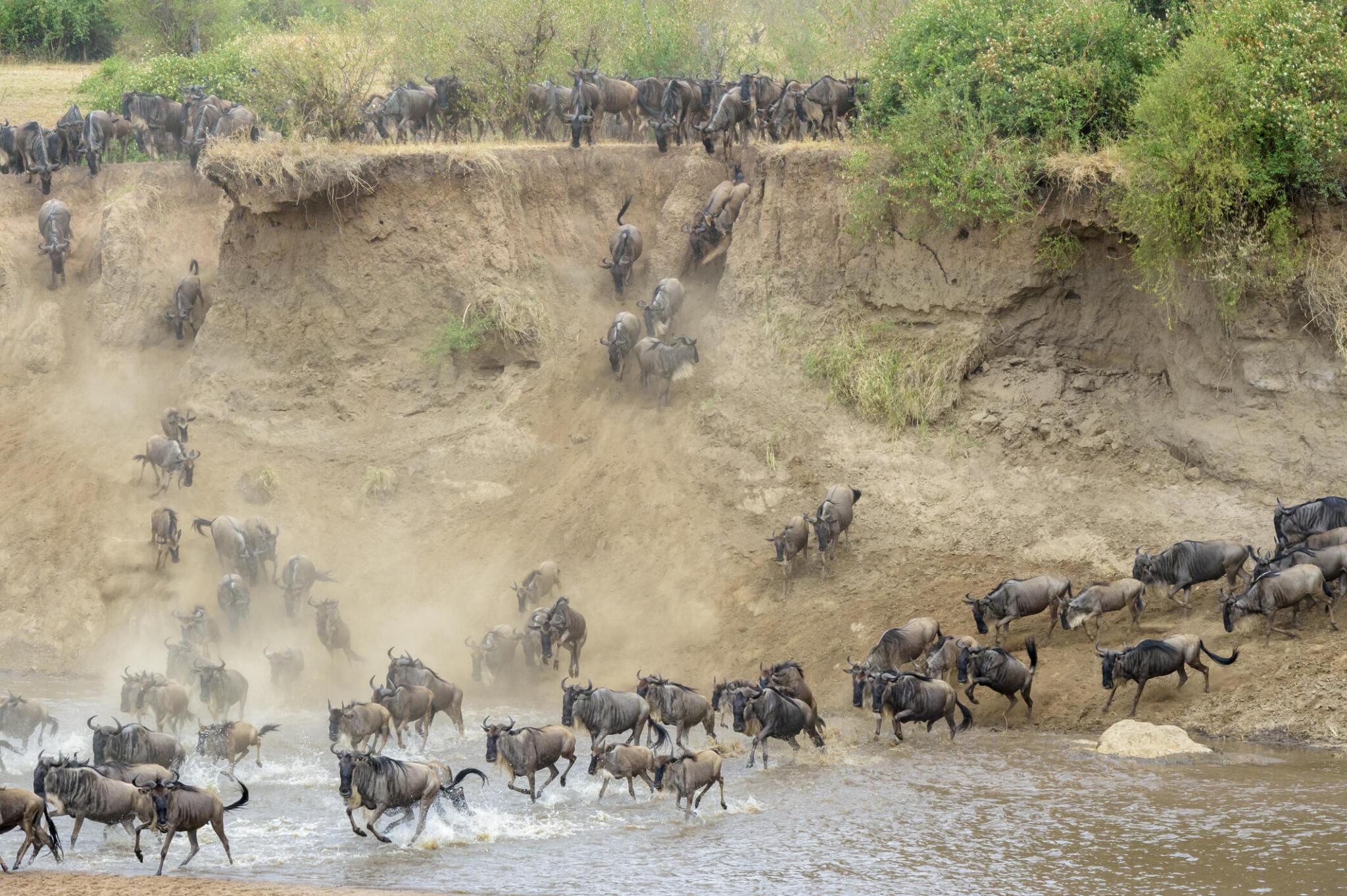 5 day Great Serengeti Migration Luxury Safari.